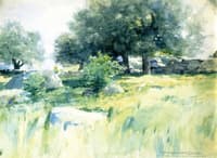 Meadow Walls