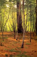 Forest Glen