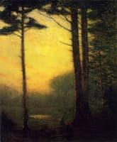 Sunset Pines
