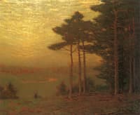 Golden Sunset