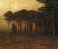 The Strip of Pines