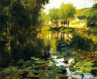 The Lily Pond