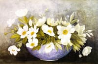 Peonies
