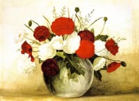 Carnations and Poppies