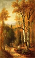 Woodland Birches