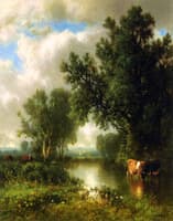 Summer Stream