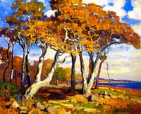 Sycamores, Autumn