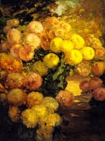 Chrysanthemums