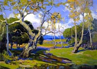 A California Woodland