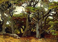 Victores Primeval