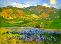 San Fernando Valley: Lupines