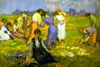 Picking Poppies, Pasadena