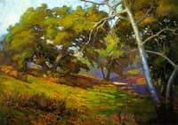 In the Shade of the Arroyo