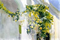 The Yellow Rosebush of the Sorolla House