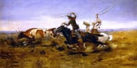 OH Cowboys Roping a Steer