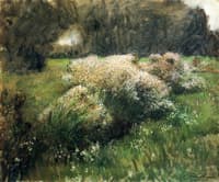 Wild Asters, Study