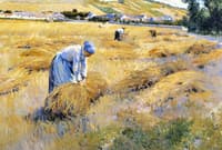 Harvest Time