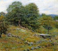 Stony Pasture