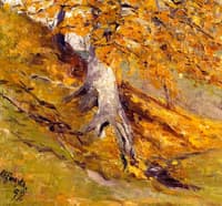 An Autumn Beech