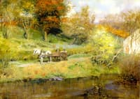 The Scum Pond