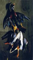 Hanging Game: Wood Duck and Mallard