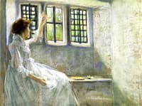 The Window Seat