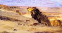 Lions in the Desert