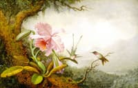 Hummingbirds and Orchids