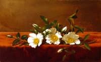 Cherokee Roses