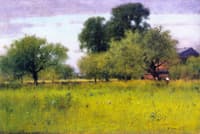 Apple Orchard