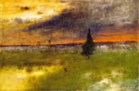The Lonely Pine