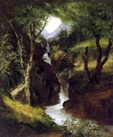 Cascade in the Forest