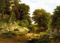 Woodland Brook
