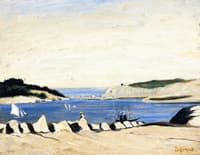 Coast Scene
