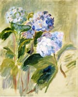 Branch of a Hydrangea
