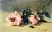 Peonies and June Bug