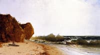 The Seashore