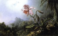 Two Hummingbirds with an Orchid