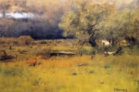 The Passing Storm
