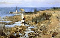 The Shore