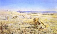 The Harvest Field