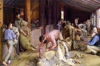 Shearing the Rams