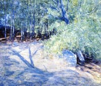 Path in the Woods