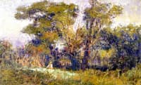 The Old Garden