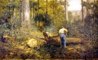 Bush Sawyers