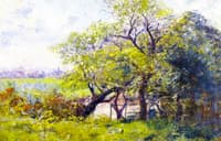 Landscape, Spring