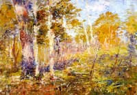 Madedon Landscape