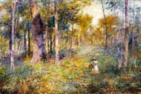 Child in the Bush