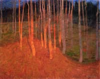 Forest at Twilight