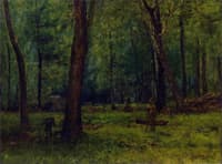 Wood Interior, Keene Valley